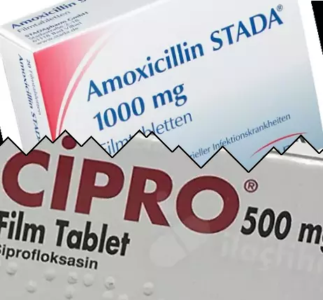 Amoxicilina contra Cipro