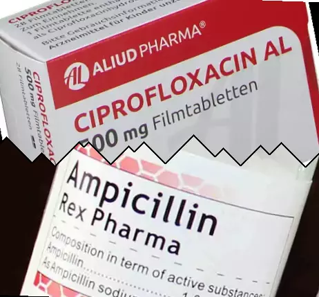Ciprofloxacino contra Ampicilina